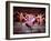 West Side Story, Rita Moreno, 1961-null-Framed Photo