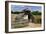 West Stow Country Park and Anglo-Saxon Village, Bury St Edmunds, Suffolk-Peter Thompson-Framed Photographic Print