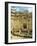 West Temple with Window Stone, Megalithic Temple Dating from Around 3000 Bc, Mnajdra, Malta-Sheila Terry-Framed Photographic Print