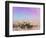 West Texas Scapes I-Sonja Quintero-Framed Photographic Print