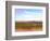 West Texas Scapes II-Sonja Quintero-Framed Photographic Print