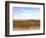 West Texas Scapes II-Sonja Quintero-Framed Photographic Print