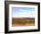 West Texas Scapes II-Sonja Quintero-Framed Photographic Print