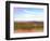 West Texas Scapes II-Sonja Quintero-Framed Photographic Print