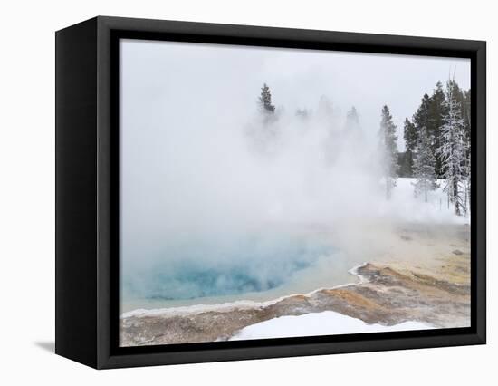 West Thumb Geyser Basin Winter Landscape with Geothermal Spring, Yellowstone National Park, UNESCO -Kimberly Walker-Framed Premier Image Canvas