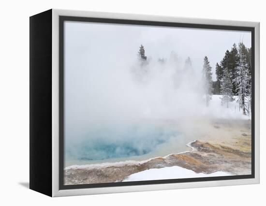 West Thumb Geyser Basin Winter Landscape with Geothermal Spring, Yellowstone National Park, UNESCO -Kimberly Walker-Framed Premier Image Canvas