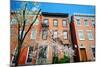West Village New York City Apartments in the Springtime-SeanPavonePhoto-Mounted Photographic Print
