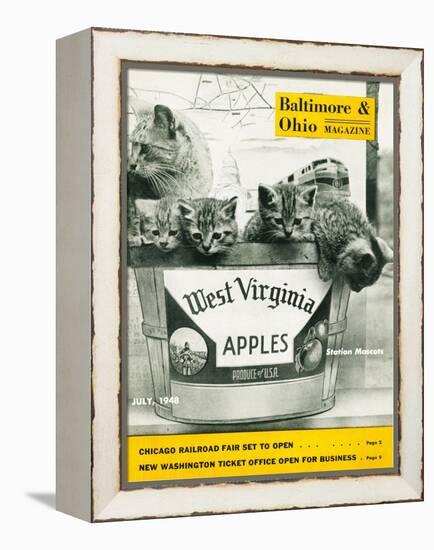 West Virginia Apples-null-Framed Premier Image Canvas