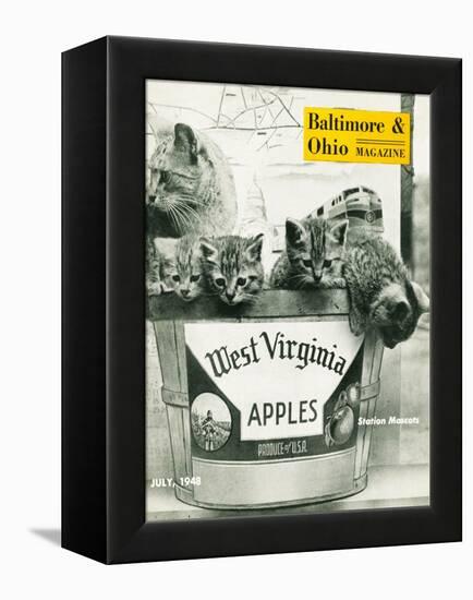 West Virginia Apples-null-Framed Premier Image Canvas