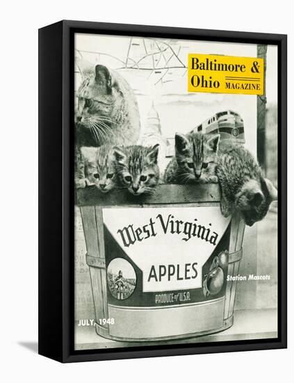 West Virginia Apples-null-Framed Premier Image Canvas