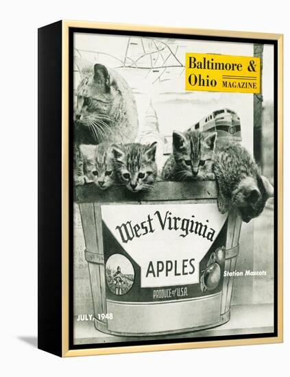 West Virginia Apples-null-Framed Premier Image Canvas