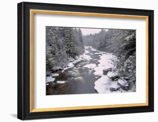 West Virginia, Blackwater Falls SP. Stream in Winter Landscape-Jay O'brien-Framed Photographic Print