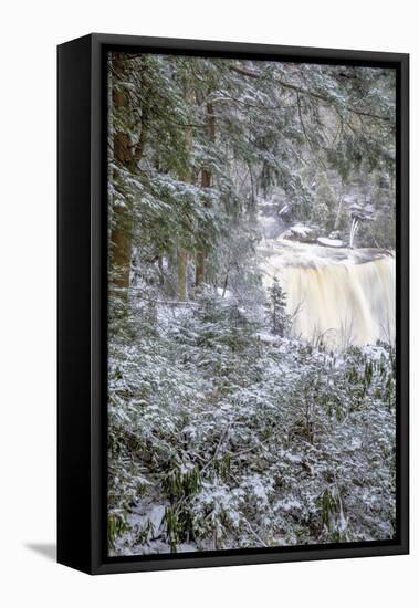 West Virginia, Blackwater Falls State Park. Blackwater Falls in Winter-Jaynes Gallery-Framed Premier Image Canvas