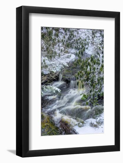 West Virginia, Blackwater Falls State Park. Blackwater River in Winter-Jaynes Gallery-Framed Photographic Print