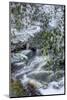 West Virginia, Blackwater Falls State Park. Blackwater River in Winter-Jaynes Gallery-Mounted Photographic Print