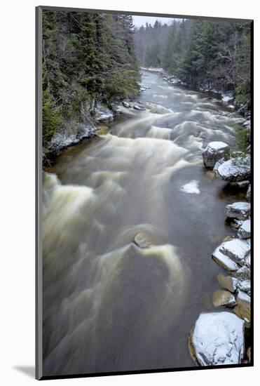 West Virginia, Blackwater Falls State Park. Blackwater River Rapids in Winter-Jaynes Gallery-Mounted Photographic Print