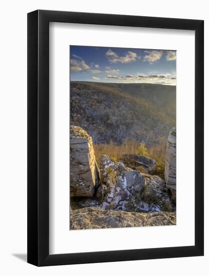 West Virginia, Blackwater Falls State Park. Landscape from Lindy Point-Jaynes Gallery-Framed Photographic Print