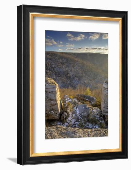 West Virginia, Blackwater Falls State Park. Landscape from Lindy Point-Jaynes Gallery-Framed Photographic Print