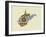 West Virginia State Map-Lanre Adefioye-Framed Giclee Print