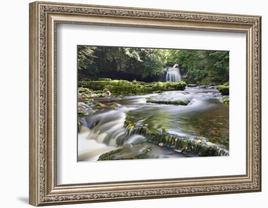 Westburton Waterfall, Westburton, Yorkshire Dales, Yorkshire, England, United Kingdom, Europe-Markus Lange-Framed Photographic Print