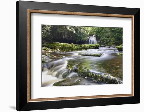 Westburton Waterfall, Westburton, Yorkshire Dales, Yorkshire, England, United Kingdom, Europe-Markus Lange-Framed Photographic Print