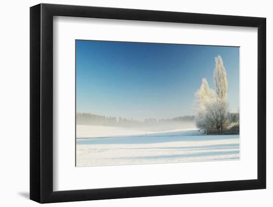 Photographic Print, , large