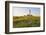 Westerhever Lighthouse, North Sea, Schleswig-Holstein, Westerheversand, Wadden Sea-Herbert Kehrer-Framed Photographic Print