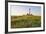 Westerhever Lighthouse, North Sea, Schleswig-Holstein, Westerheversand, Wadden Sea-Herbert Kehrer-Framed Photographic Print