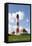 Westerheversand Lighthouse, Westerhever, Eiderstedt Peninsula, Schleswig Holstein, Germany, Europe-Markus Lange-Framed Premier Image Canvas