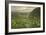 Westerly Pond-Bruce Dumas-Framed Giclee Print