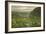 Westerly Pond-Bruce Dumas-Framed Giclee Print