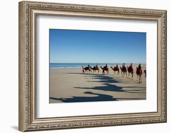 Western Australia, Broome, Cable Beach. Camel Ride on Cable Beach-Cindy Miller Hopkins-Framed Photographic Print