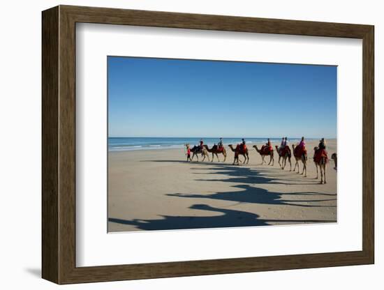 Western Australia, Broome, Cable Beach. Camel Ride on Cable Beach-Cindy Miller Hopkins-Framed Photographic Print