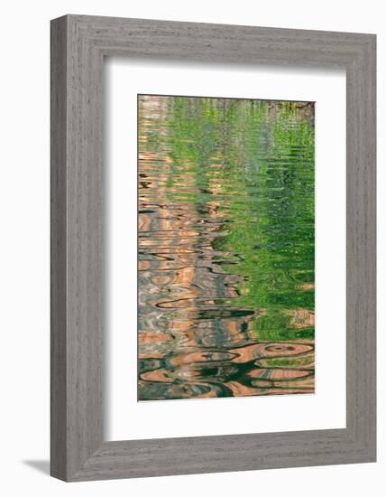 Western Australia, Kimberley, Balanggarra Country, King George River. River reflection.-Cindy Miller Hopkins-Framed Photographic Print