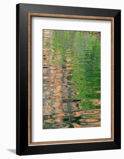 Western Australia, Kimberley, Balanggarra Country, King George River. River reflection.-Cindy Miller Hopkins-Framed Photographic Print