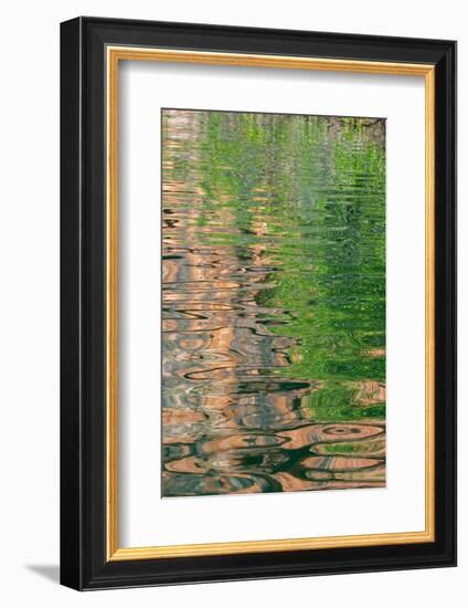 Western Australia, Kimberley, Balanggarra Country, King George River. River reflection.-Cindy Miller Hopkins-Framed Photographic Print