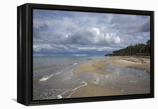 Western Beach of the Darss Peninsula-Uwe Steffens-Framed Premier Image Canvas