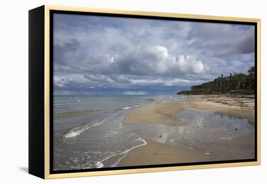 Western Beach of the Darss Peninsula-Uwe Steffens-Framed Premier Image Canvas