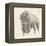 Western Bison Study-Ethan Harper-Framed Stretched Canvas