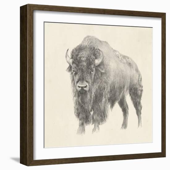 Western Bison Study-Ethan Harper-Framed Art Print