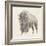 Western Bison Study-Ethan Harper-Framed Premium Giclee Print