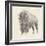 Western Bison Study-Ethan Harper-Framed Premium Giclee Print