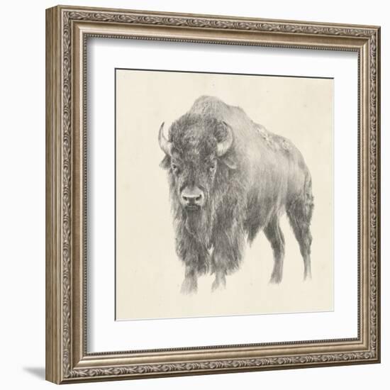 Western Bison Study-Ethan Harper-Framed Art Print