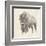 Western Bison Study-Ethan Harper-Framed Art Print