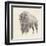 Western Bison Study-Ethan Harper-Framed Art Print