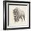 Western Bison Study-Ethan Harper-Framed Art Print