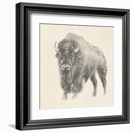 Western Bison Study-Ethan Harper-Framed Art Print