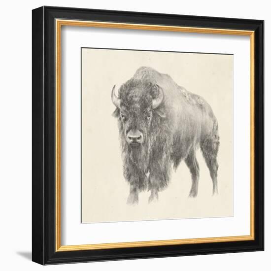 Western Bison Study-Ethan Harper-Framed Art Print