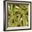 Western Cactus-Robbin Rawlings-Framed Art Print