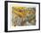 Western Cats-Bill Bell-Framed Giclee Print